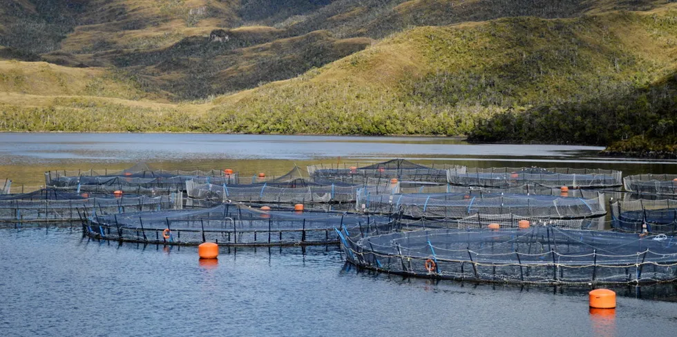 The punishment handed down to Nova Austral is unprecedented under new environmental rules.