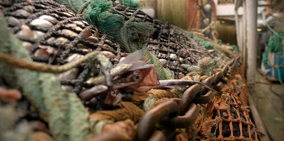 The US Pacific whiting fishery has entered into a new seafood certification assessment.