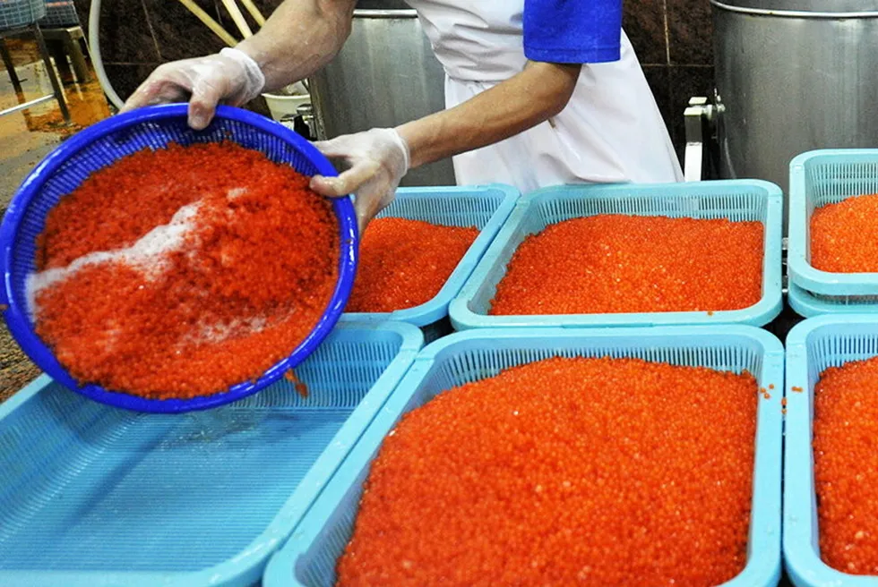 A worker sorts chum salmon caviar in the far east of Russia. Domestic salmon roe prices have risen to levels beyond the reach of some domestic consumers.