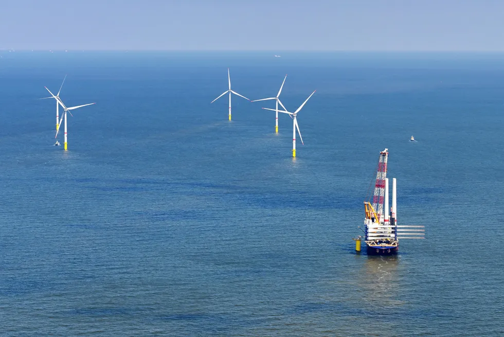 Operating Belgian wind farm Rentel during construction.