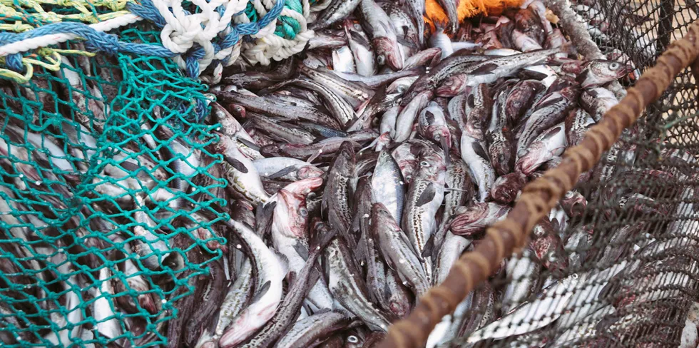 Alaska pollock quota set lower for 2021