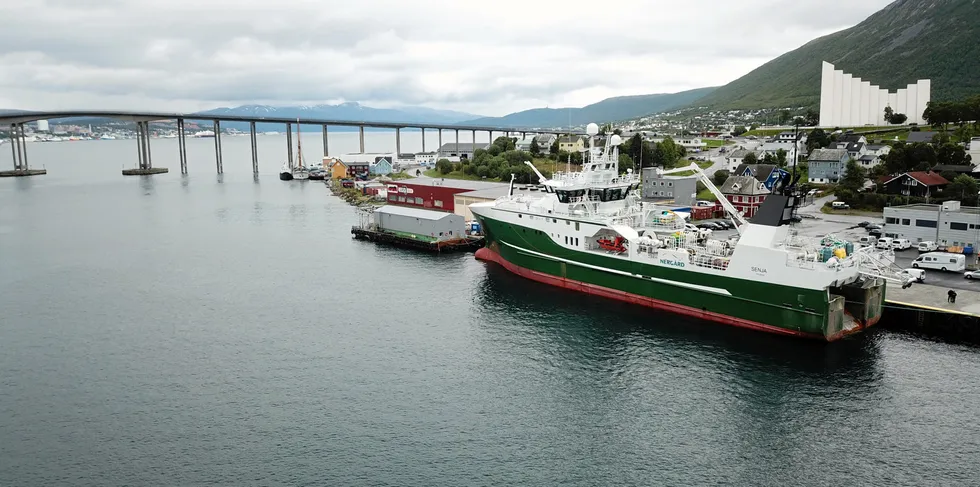 Senja is one of Norway's largest aquaculture municipalities. Photo: Jørn Mikael Hagen