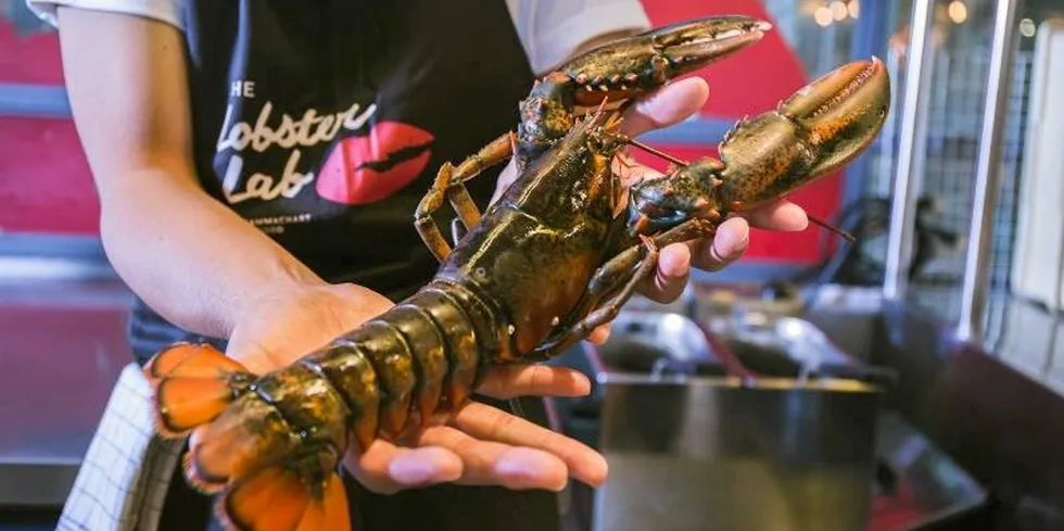 Putting lobster on the red list? No federal funding for you.