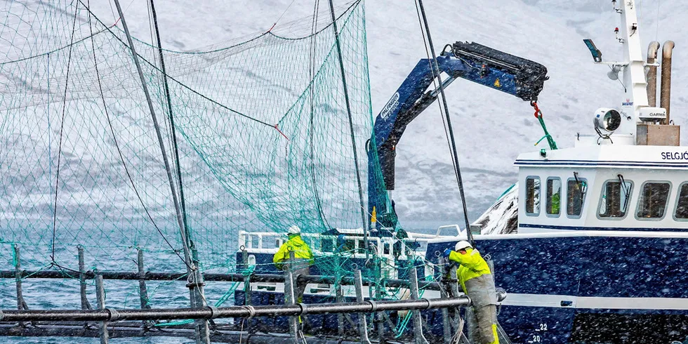 Faroese salmon farmer Bakkafrost's Gotuvik A-25 site. The group continues to be among the most valuable companies in the seafood industry.