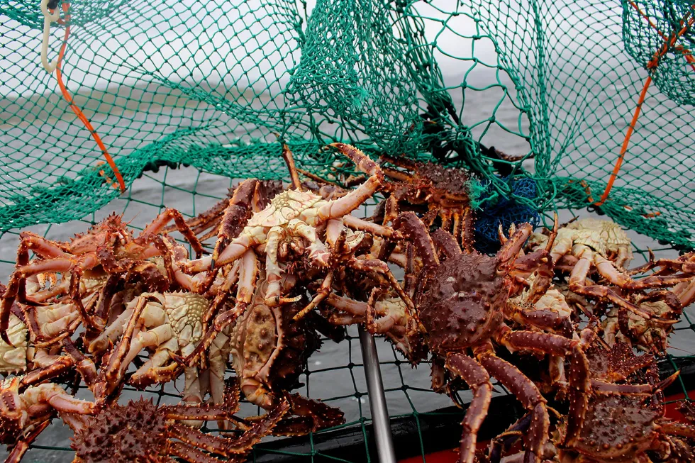 Russia will attempt once more to auction red king crab quotas on Jan. 23.