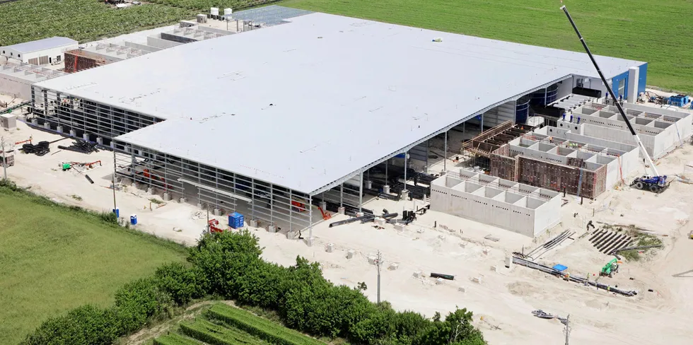 Could Brazil see a BlueHouse project being built similar to the one in Miami in future?