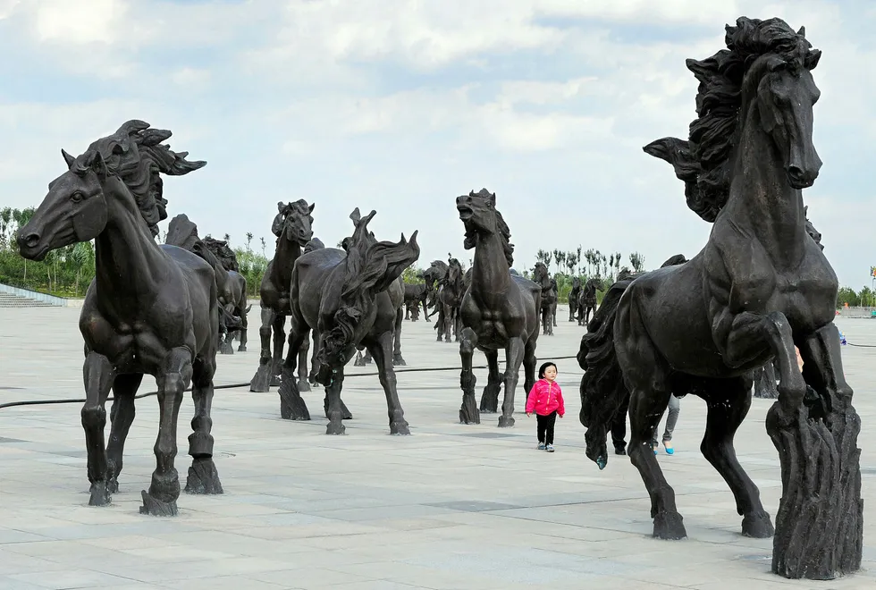 Ready to drill: Wild Horse 1