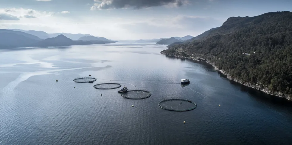 An infectious salmon anemia (ISA) outbreak has been confirmed at Norwegian salmon farmers Grieg's site in Hjelmeland in western Norway.