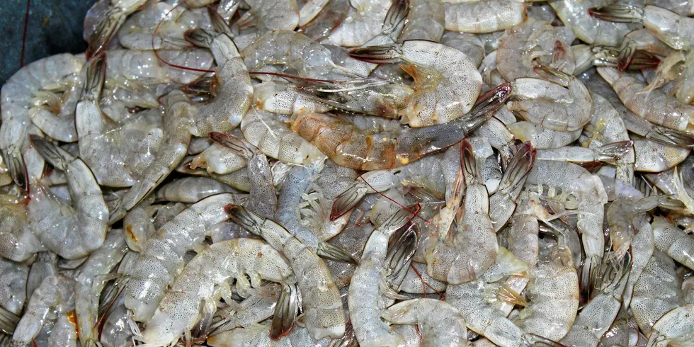 Shrimp processed by Ecuadorian producer Songa.