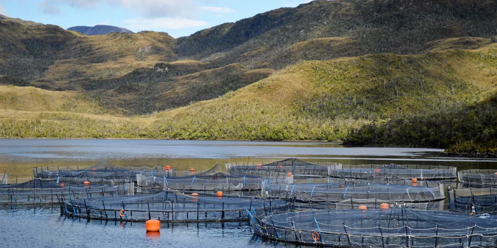 Chile salmon farmer Nova Austral is facing a debt crisis, and private equity owner Altor could exit as part of the restructuring.