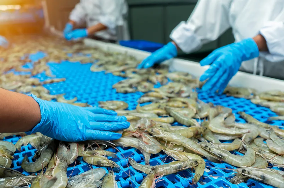 Eyestalk ablation has been a widely accepted method for stimulating egg development in shrimp broodstock, specifically P. monodon and L. vannamei, for over 40 years,
