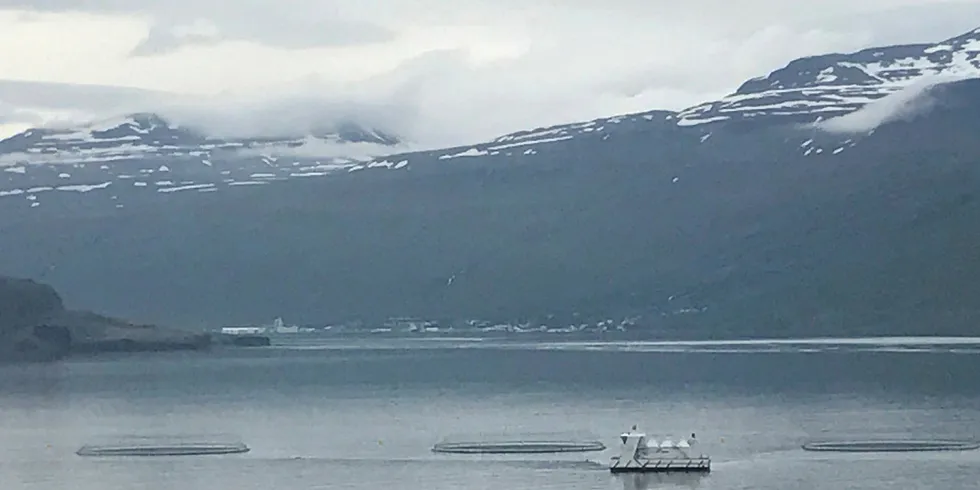 The virus was detected at Laxar, according to the Icelandic Food and Veterinary Authority.