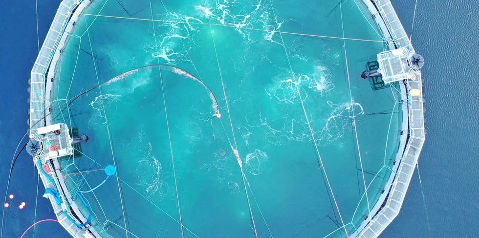 A closed containment farm on trial in Canada by salmon farming giant Cermaq.