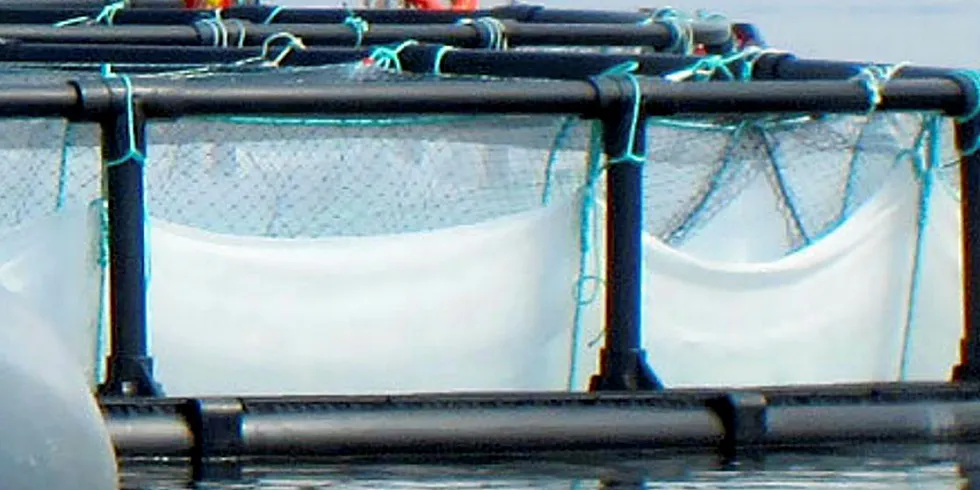 Morenot acquires Hvalpsund Net. Fish cage.