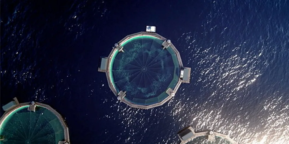 In November 2021, Fiizk announced it would deliver two semi-closed Certus 30000 cages to Osland Havbruk. These were close to being fully assembled before suffering damage.