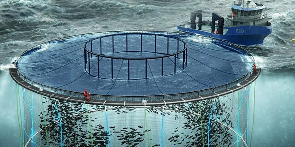 An illustration of Grieg NL's planned Placentia Bay farm project.