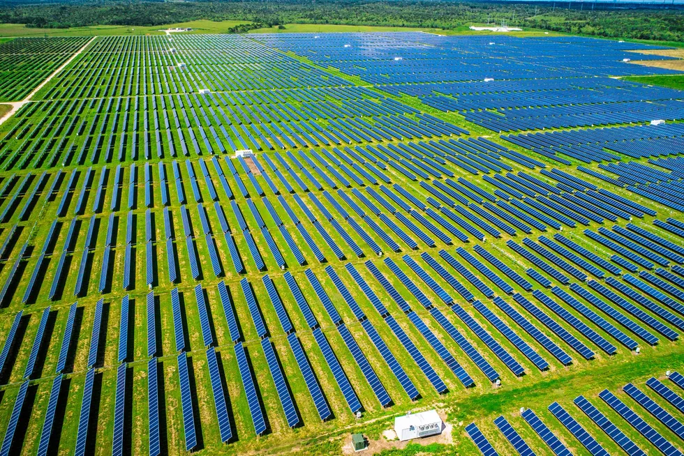A vast Texas solar plant.