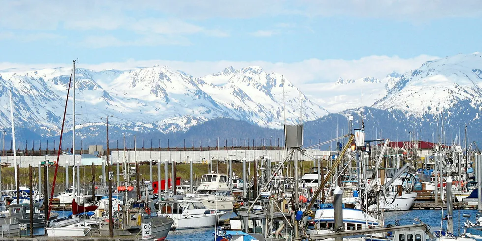 Alaska fishing boats in port.