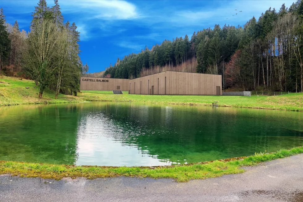 Castell Salmon is planning to be Germany's largest land-based salmon supplier.