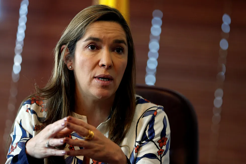 Colombia's Mines and Energy Minister Maria Fernanda Suarez, speaks at a news conference in Bogota, Colombia February 1, 2019. REUTERS/Luisa Gonzalez