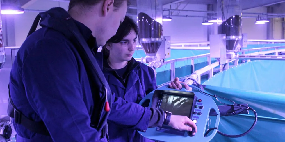 Workers at Fredrikstad Seafood's land-based salmon farming operation in Norway.