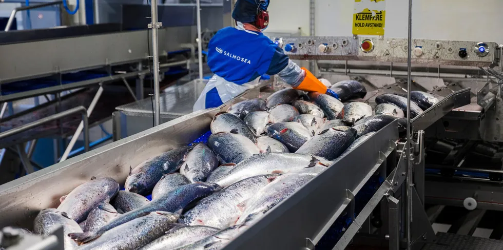 The prices are falling despite less fish being processed in northern Norway.