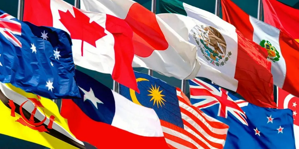 Flags of convenience? New proposals would see a referendum on Chile's participation in the TPP 11 trade accord once approved by lawmakers.