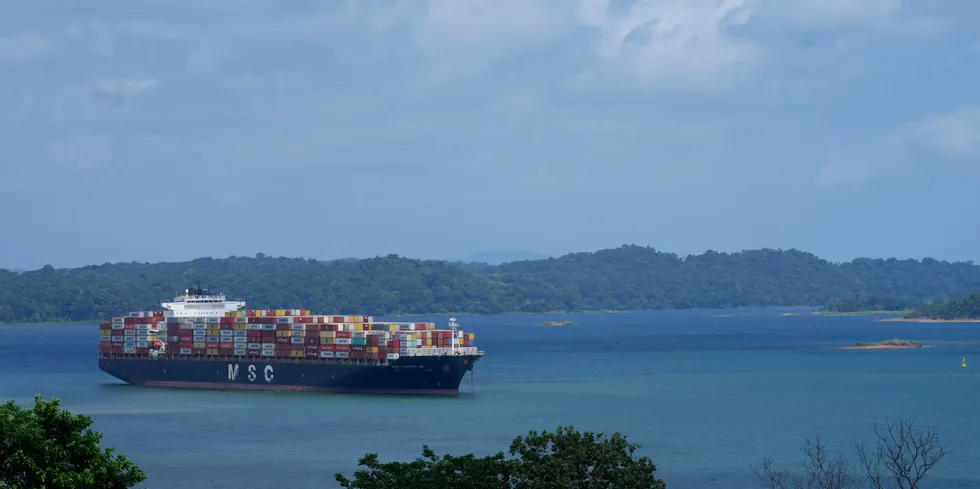An MSC Mediterranean Shipping Company container ship waits on Gatun lake for its transit through the Agua Clara locks of the Panama Canal earlier this month.