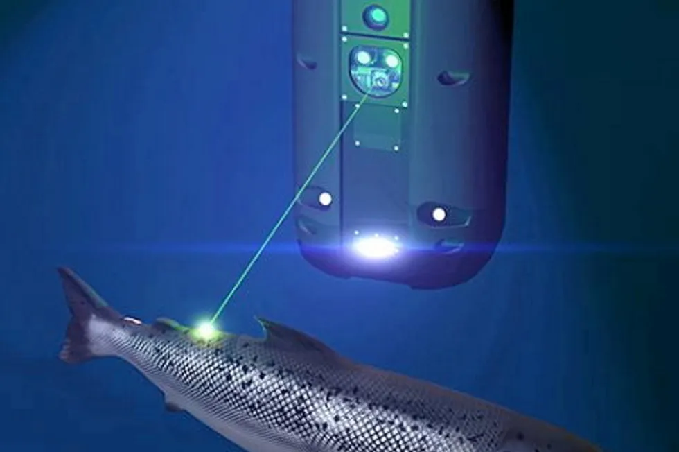 Since its launch in 2012, Stingray has produced 1,750 lasers, which are installed in more than 100 locations with over 30 aquaculture companies.