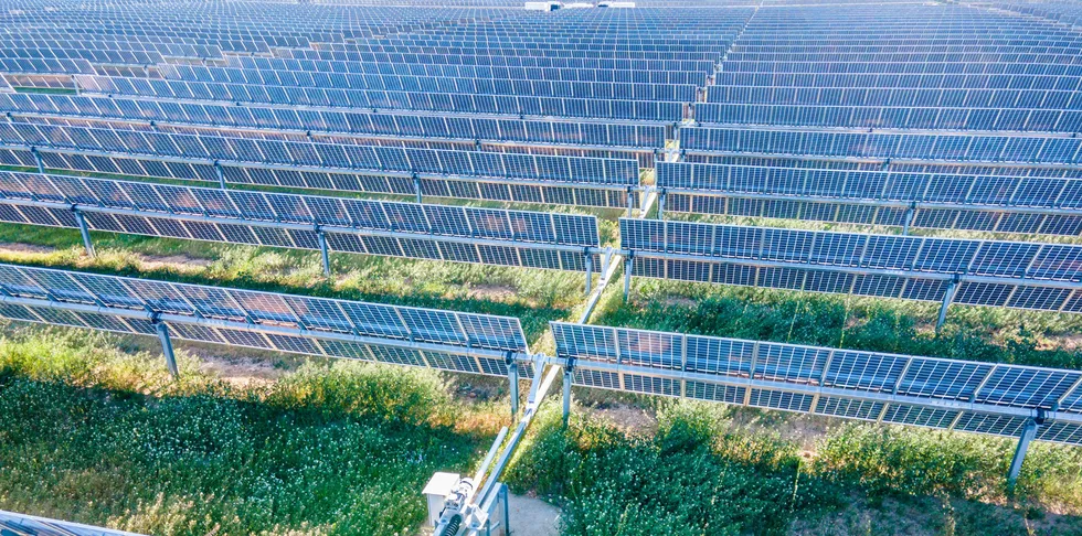 A Lightsource BP plant in Spain.