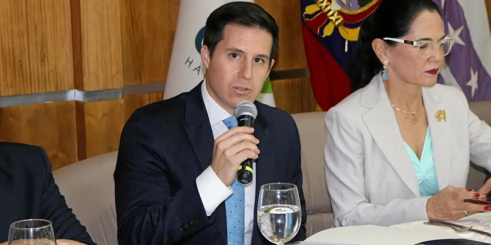 The industry needs to work to create programs aimed at stimulating demand in main markets similar to those that have benefited the meat, chicken, avocado and mango sectors in the United States, CNA Executive Director Jose Antonio Camposano said.
