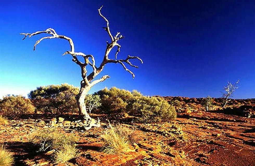 Australian outback: Vintage has farmed in to three permits