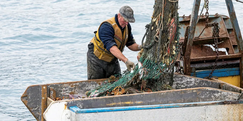 Fisherman sorting through net.