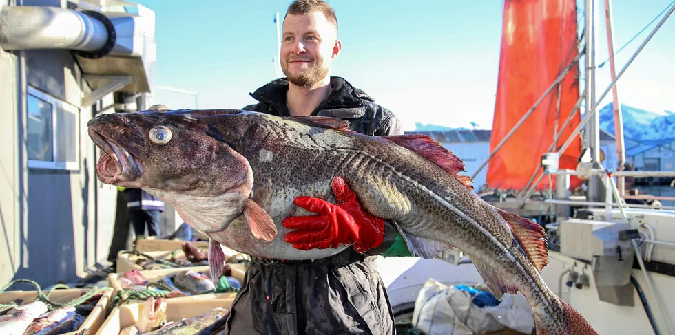 Whitefish harvesters can expect a bigger haul in 2021, according to Groundfish Forum projections.