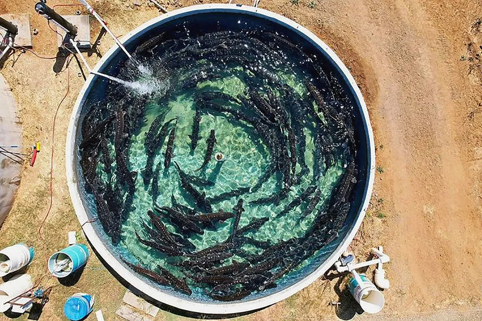 Sterling Caviar has been acquired following going into receivership.