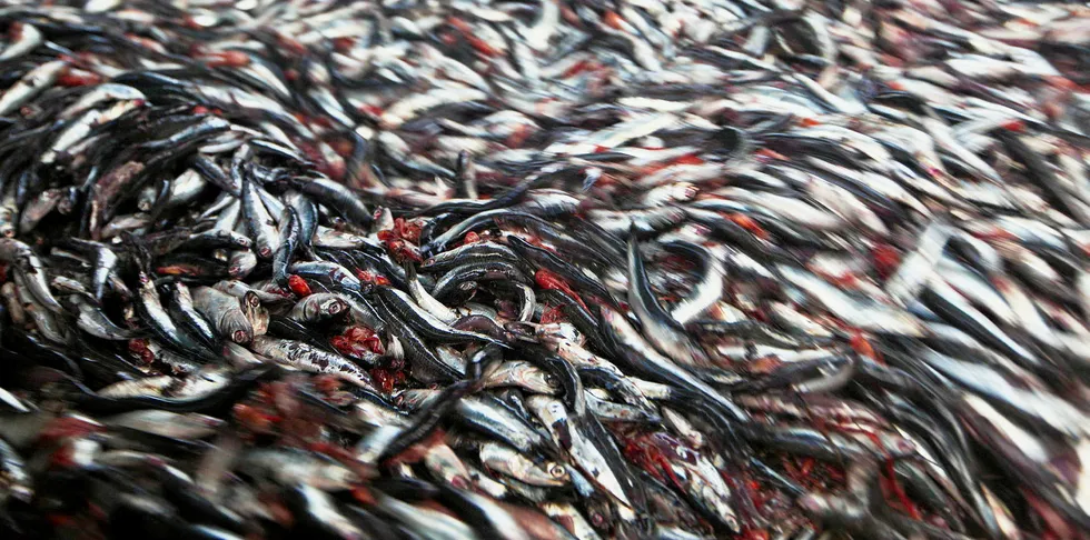 China Fishery Group is going through restructuring following a bankruptcy filing.