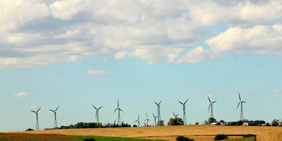 Turbines spinning near Storm Lake, Iowa. Photo: Mark Evans/Flickr