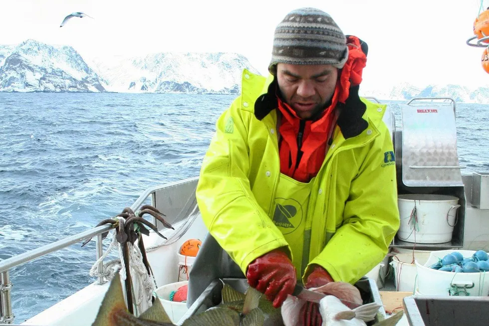 Lower landings combined with a Norwegian onshore industry that is fighting an increasingly tough battle for raw materials contributed to a sharp decline in the export volume of fresh wild cod in February.