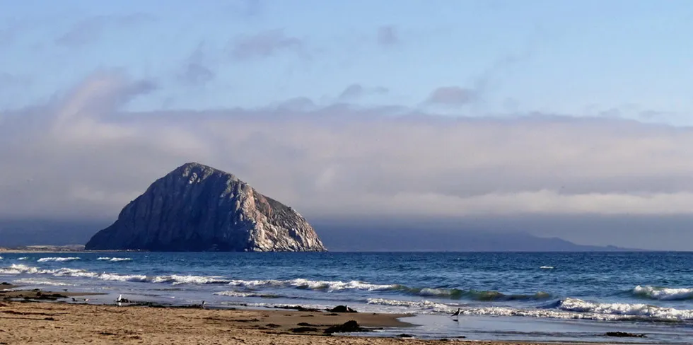 Looking out from Morro Bay, California, where Trident Winds proposes an offshore project
