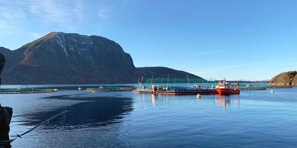 A Fiizk semi-closed cage in Norway.