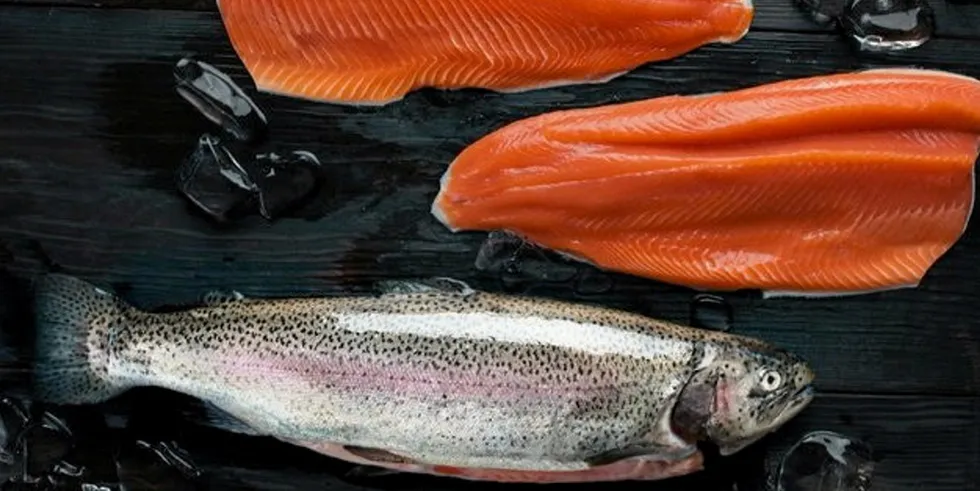 Wiltshire-based Trafalgar Fisheries is one of the largest trout farmers in the UK.
