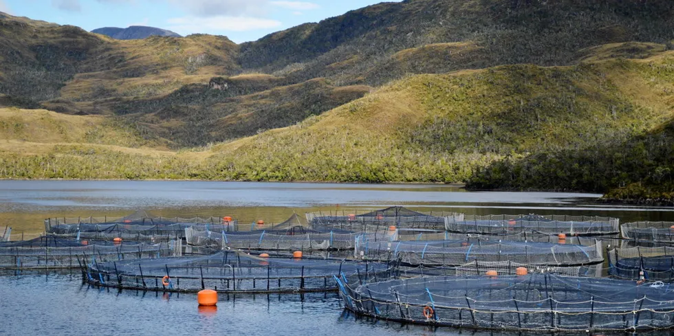 Chile salmon farmer Nova Austral, backed by private equity giant Altor, has been in talks to financially restructure the company with secured lenders and bondholders as it tries to address its working capital needs.