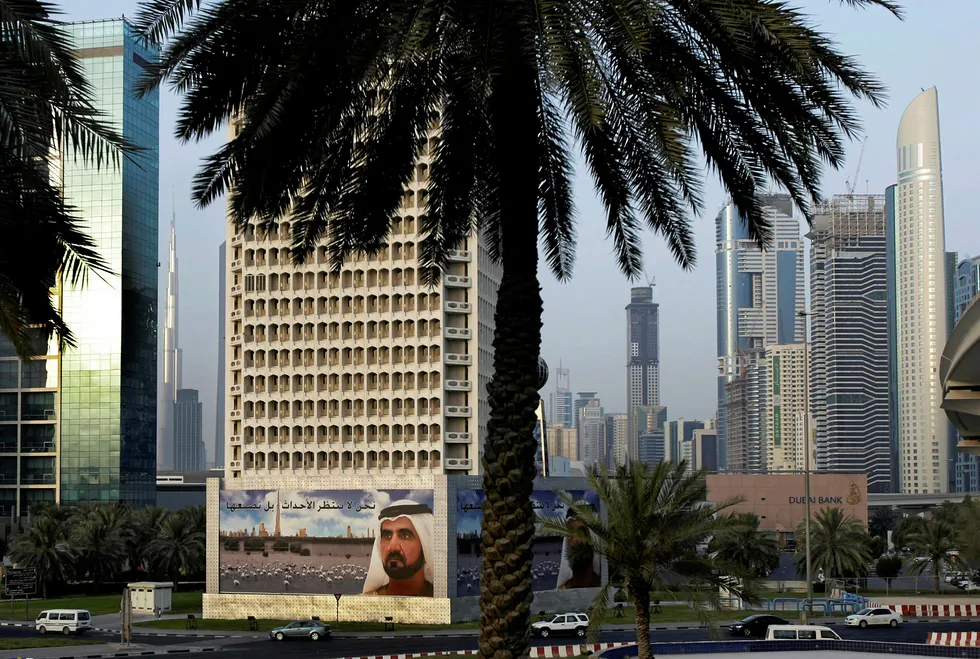 Contest: three contenders are chasing Al-Dhafra's Haliba contract in Abu Dhabi