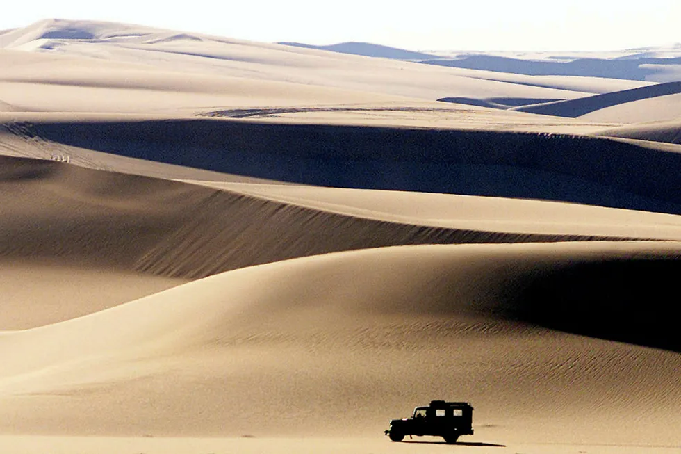 Above expectations: partners hail find at Western Desert well in Egypt