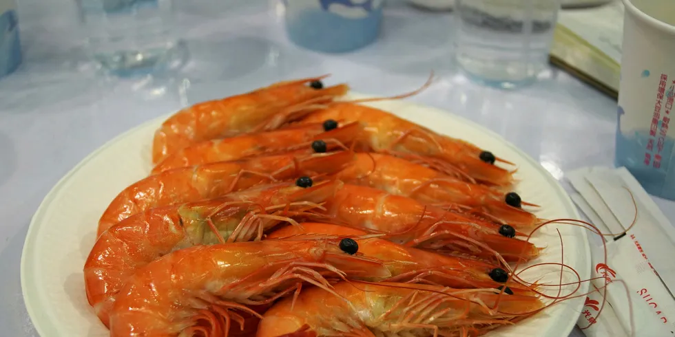 Vannamei shrimp farmed by Grobest in Taiwan. Photo: IntraFish