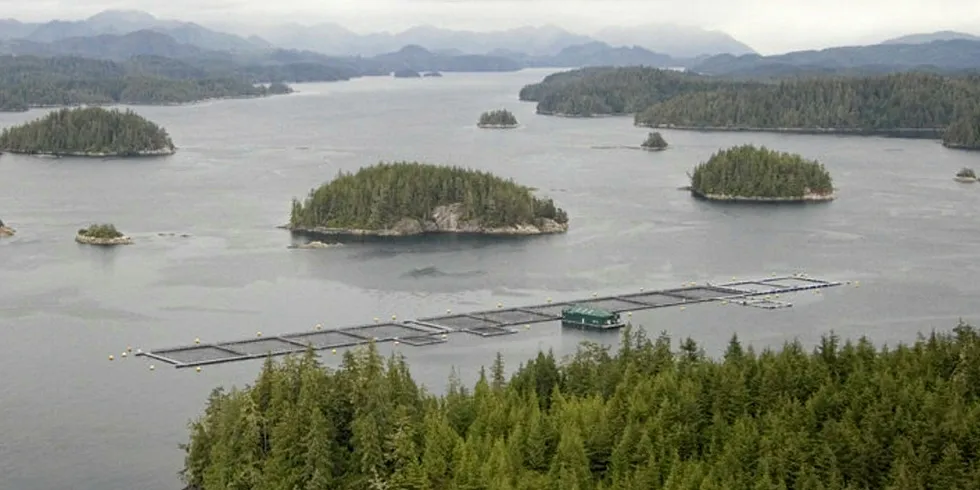 Canada's Atlantic salmon industry says it has a clear conscience.