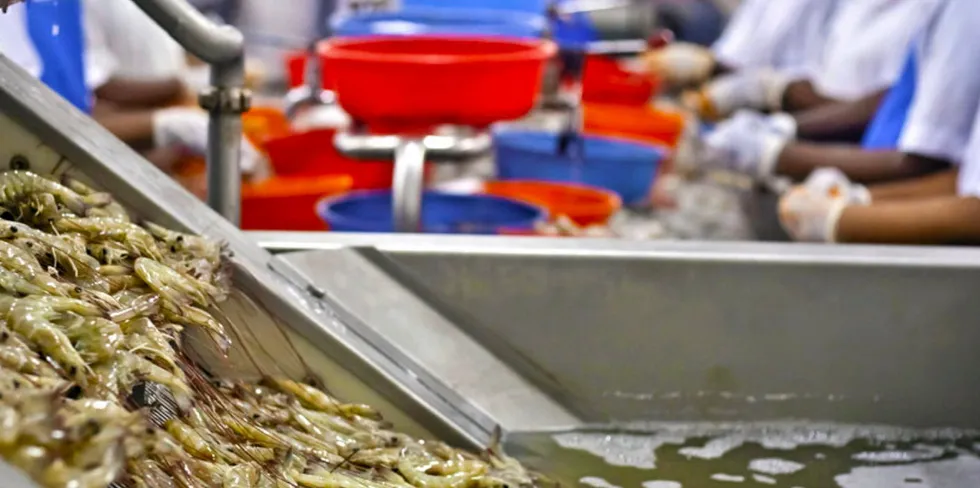 The majority of the investment in the Choice Canning factory has been funded by the Indian government.