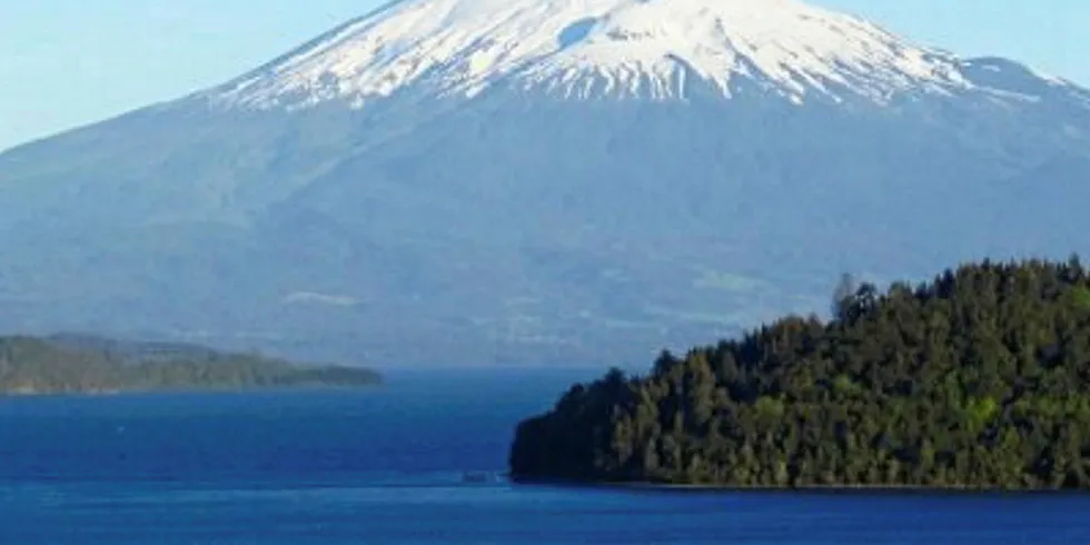 Chile supreme court orders Multiexport disease data be made public
