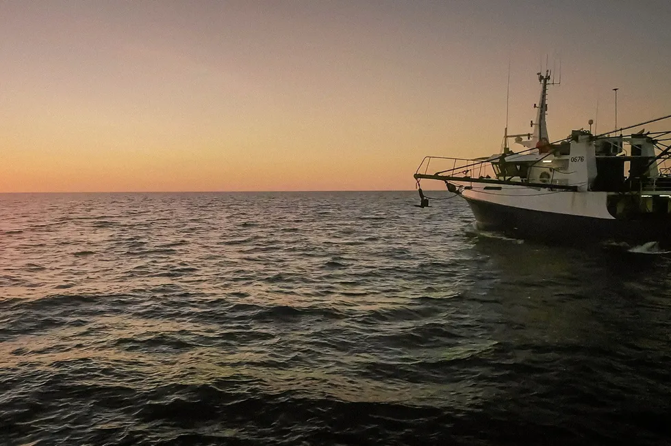 Raptis Seafood has 19 vessels, 15 operating in the northern prawn fishery, one in the northern finfish fishery, one prawn trawler fishing out of Adelaide, and two fishing vessels harvesting out of Port Lincoln in the Great Australian Bight.