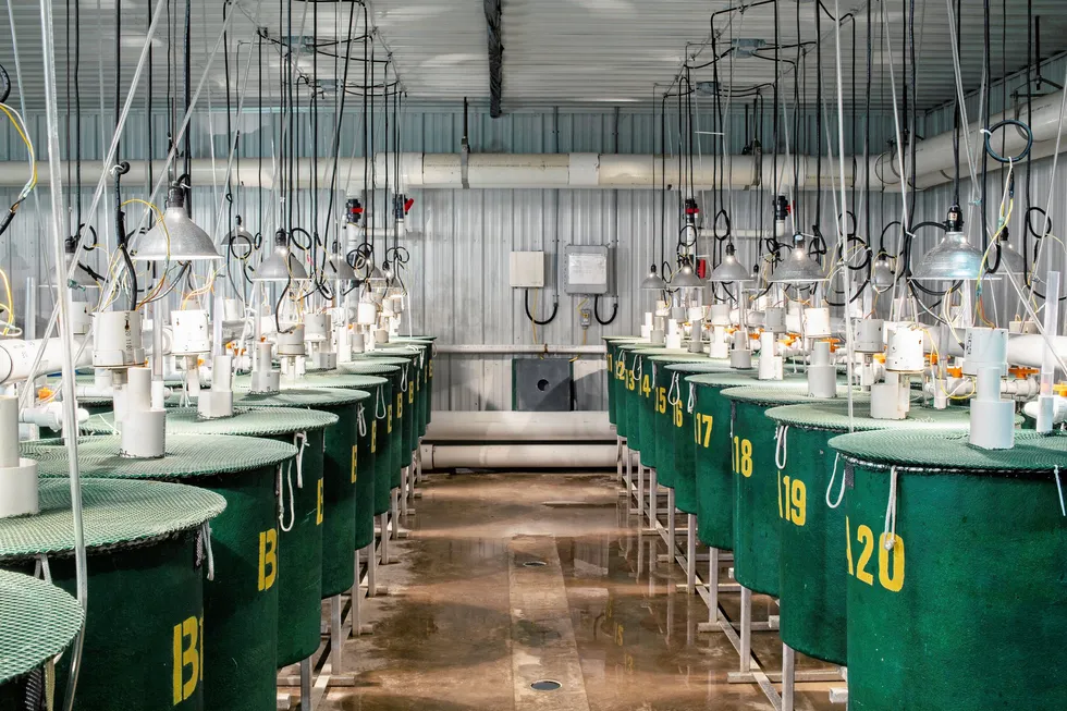AquaBounty has offloaded its Canadian assets to Cooke-owned Kelly Cover Salmon.